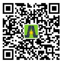 深圳市鴻嘉利新能源有限公司微信二維碼